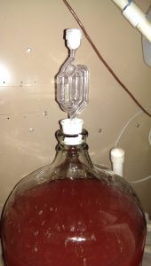 how to make muscadine wine