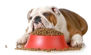 is pedigree good for dogs