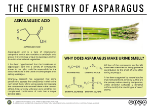 why does asparagus make your pee smell