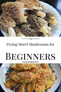 how to fry morel mushrooms