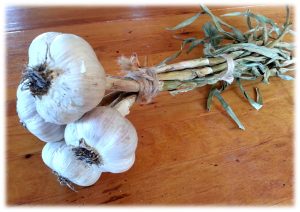 how do you store garlic