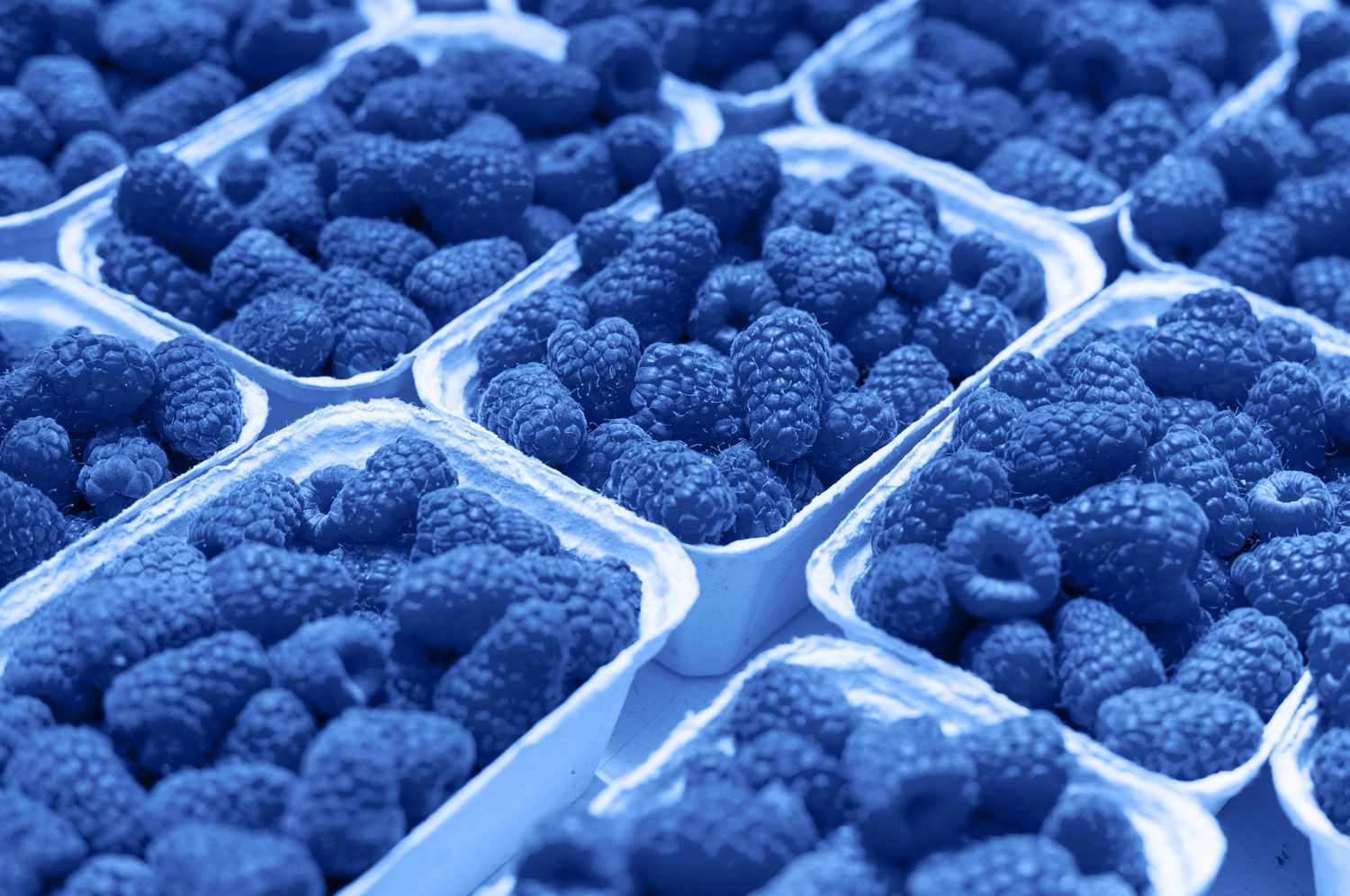 Simplified Blue Raspberry's what is a blue raspberry - Larrea | Restaurant in Las Vegas, NV