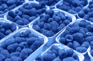 are blue raspberries real