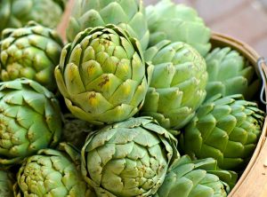 what is the artichoke
