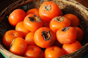 what is a persimmon
