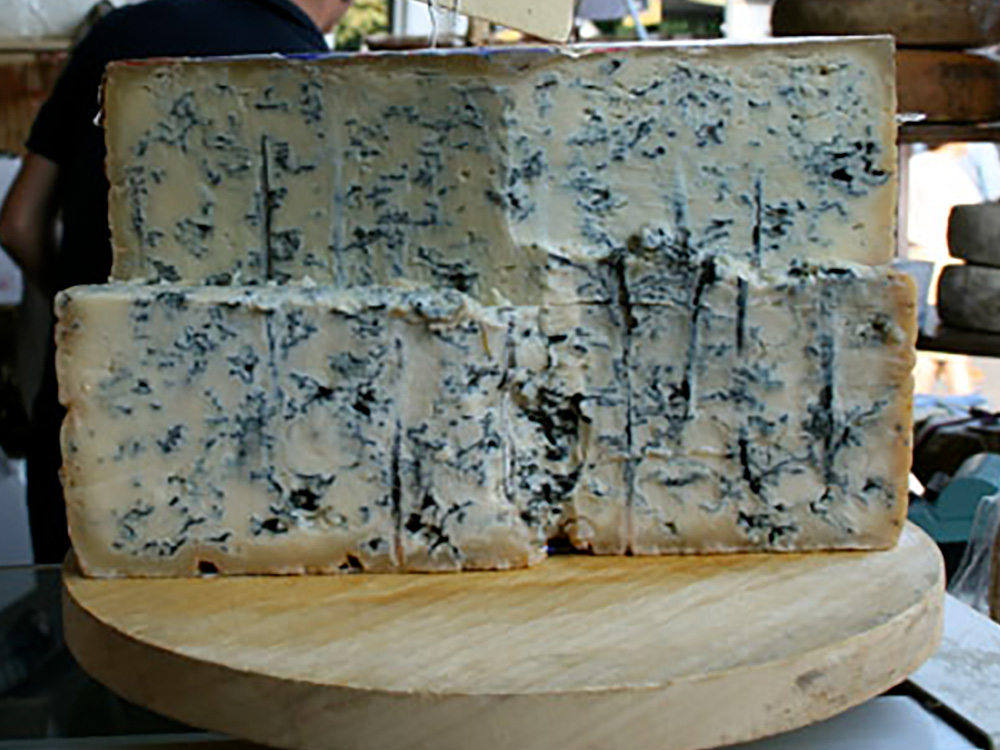 what is gorgonzola cheese