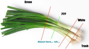 what part of the green onion do you use