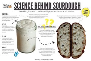 how does sourdough starter work