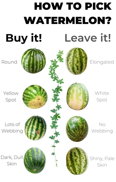 how to pick the best watermelon