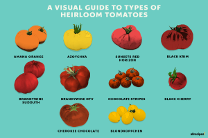 what are heirloom tomatoes