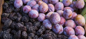 what is a prune