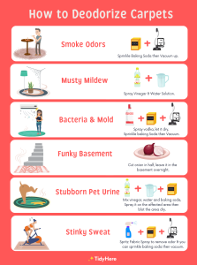 how to deodorize carpet
