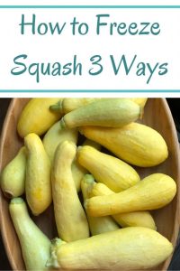 how to freeze squash