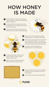 what to do with honey