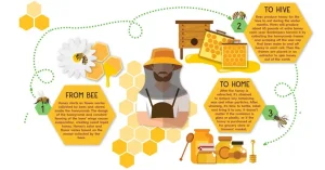 how honey is formed
