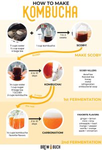 how to make kombucha
