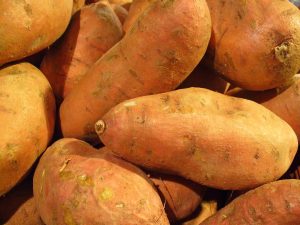 what is sweet potato