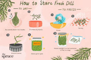 how to store dill