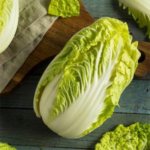 what is napa cabbage
