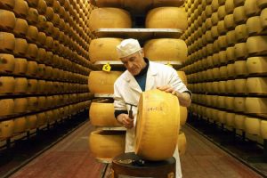 how parmigiano reggiano cheese is made