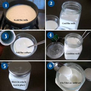 how to make yogurt from yogurt