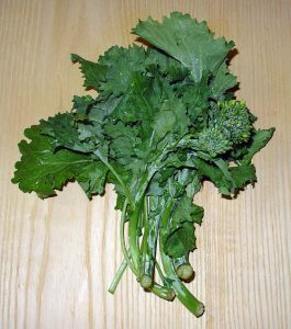 what is a rapini