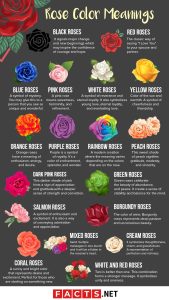 what do the colors mean for roses