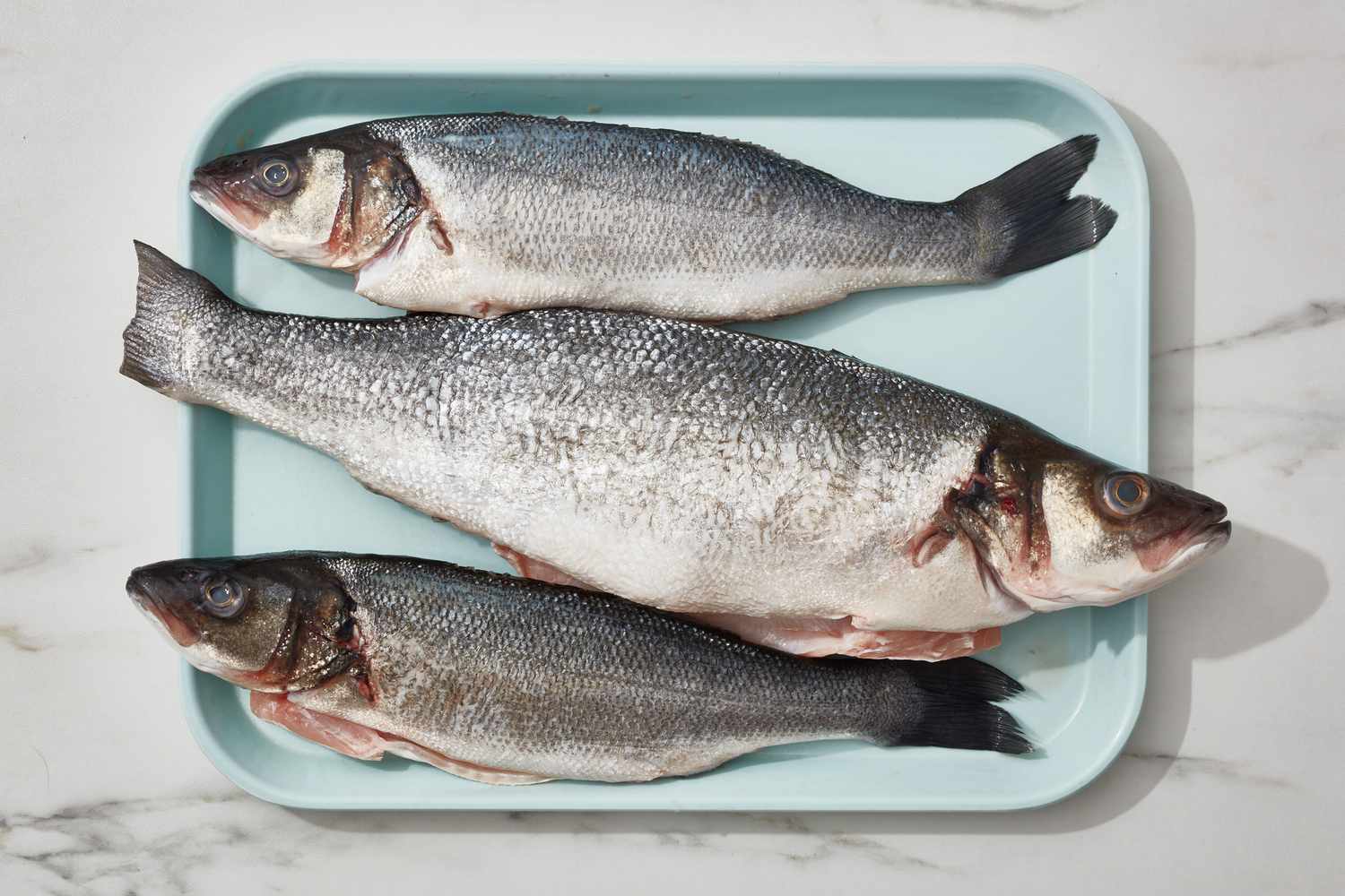what is branzino fish