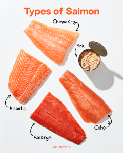 what is the best salmon