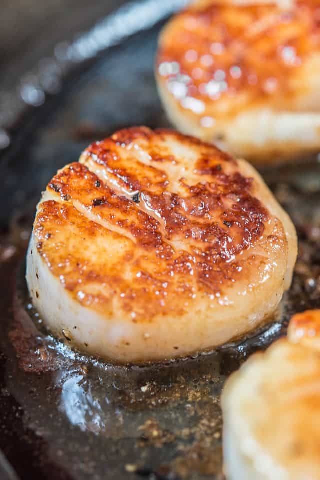 how to cook scallops in a pan