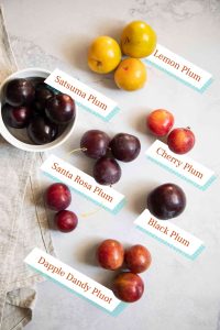 when are plums in season
