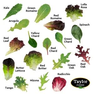 what is in spring mix