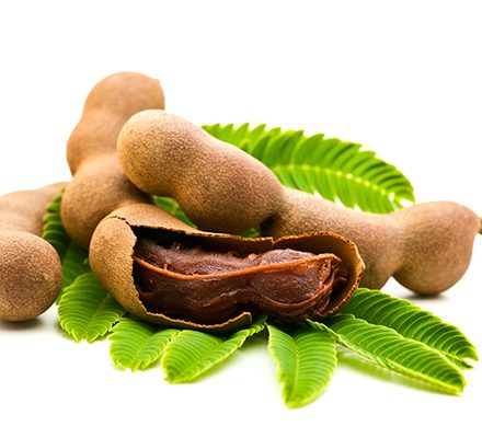 what is tamarind fruit