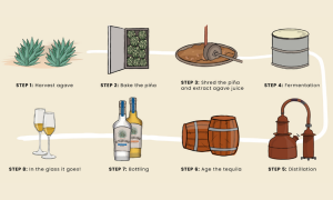 how to make tequila