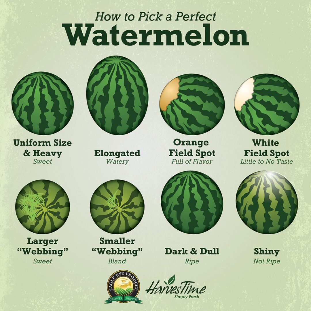 how to tell if watermelon is ripe