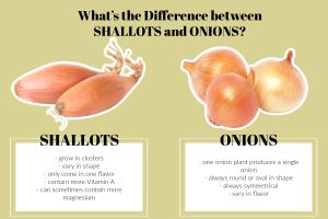 what’s the difference between shallots and onions