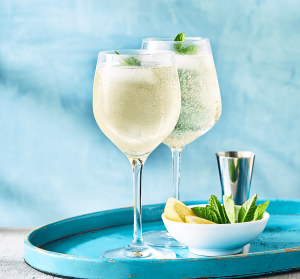 what is a spritzer