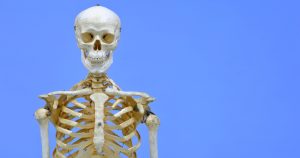 how much does a skeleton weigh