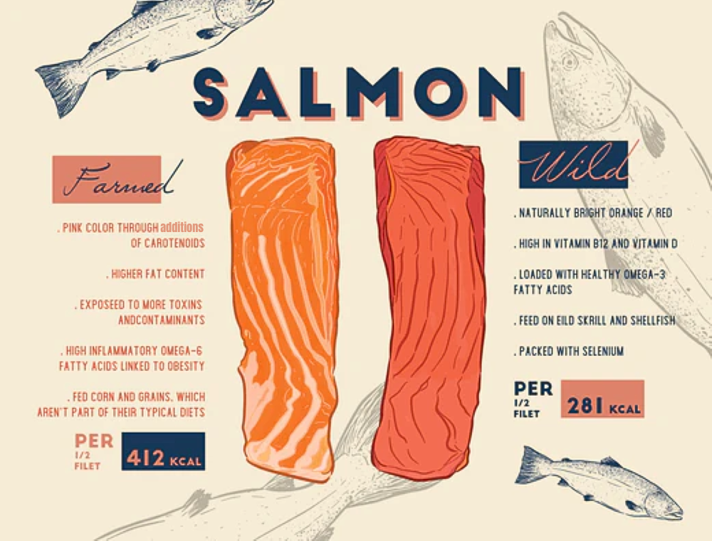 is farm raised salmon bad
