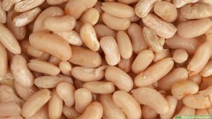 how to quickly cook navy beans