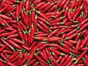 how do you spell chili