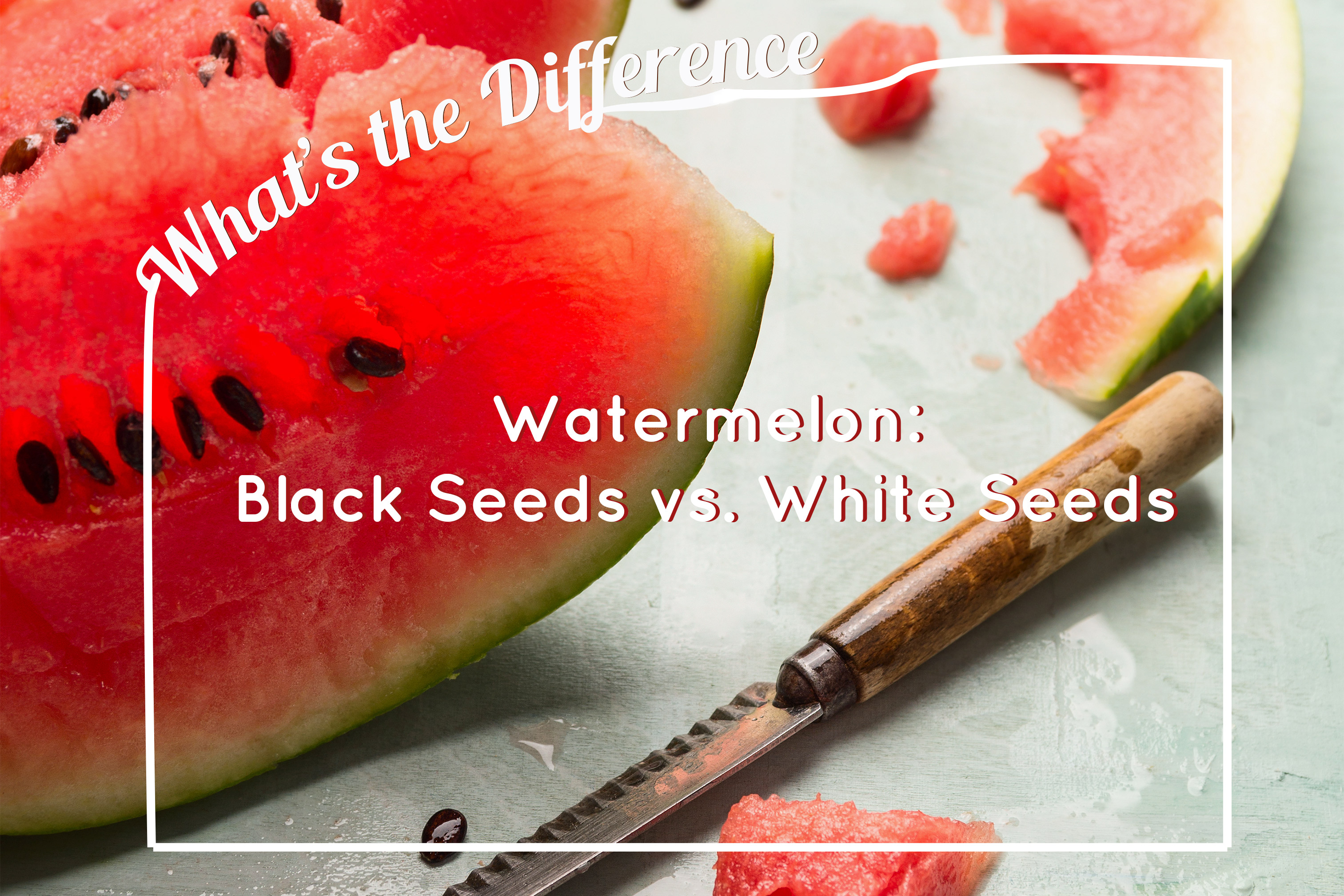 what are the white seeds called in a watermelon