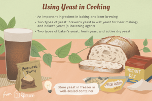 what is yeast made of
