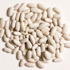 what are cannellini beans
