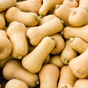 what does butternut squash taste like