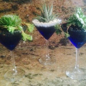 dollar tree martini glasses