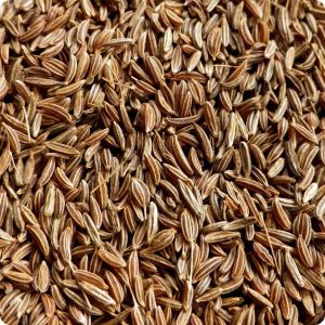 what are caraway seeds