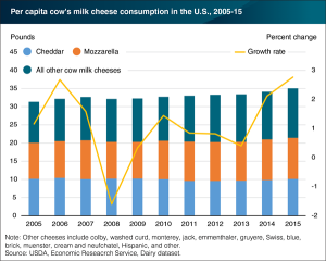 what percent in us eat cheese