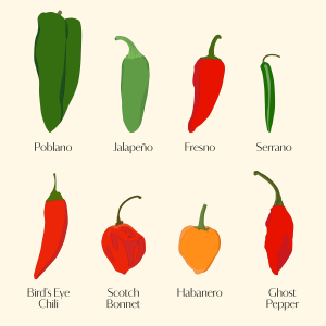 what is a pepper