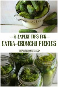 how to make crunchy pickles